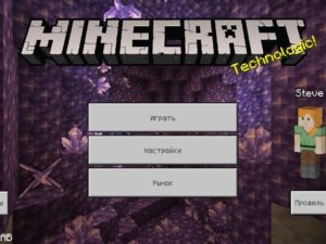 Скачать Minecraft 1.17.11 Бесплатно