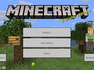 Скачать Minecraft 1.14.0 Бесплатно