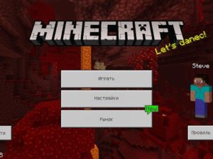 Скачать Minecraft 1.16.10 Бесплатно