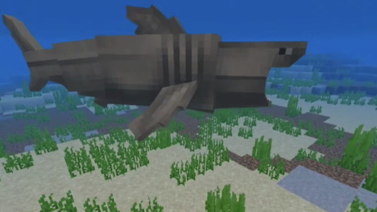 Акула для мода на Дельфинов для Minecraft PE