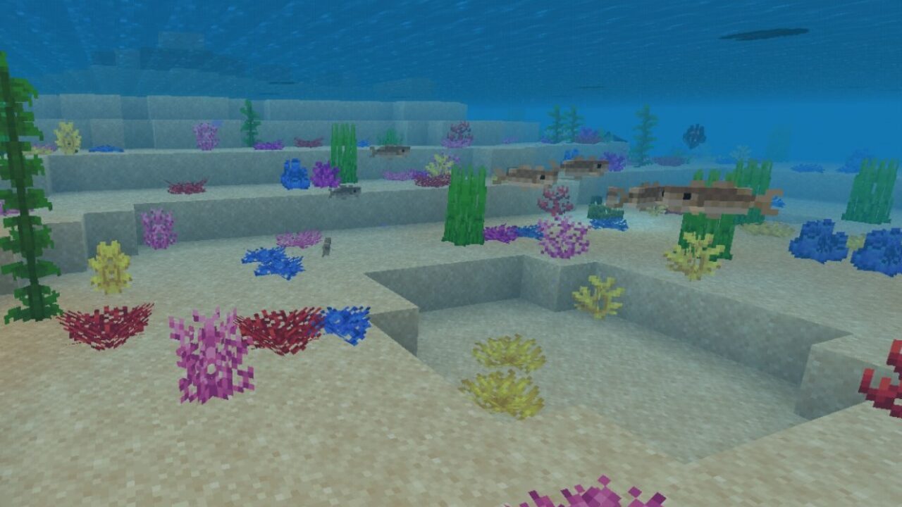 Кораллы из Карты на Большие Острова Майнкрафт ПЕ