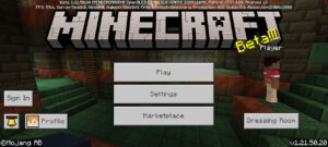 Скачать Minecraft 1.22 (1.21.50.20)