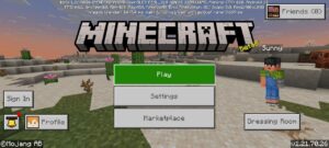 Скачать Minecraft 1.21.70.26 Бесплатно