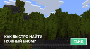Как найти любой биом в Майнкрафт?