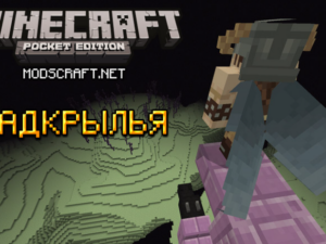 Как получить и использовать надкрылья в Minecraft PE