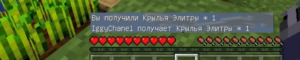 Как получить и использовать надкрылья в Minecraft PE