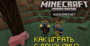 Как играть с друзьями в Minecraft PE: 2 простых способа