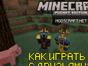 Как играть с друзьями в Minecraft PE: 2 простых способа