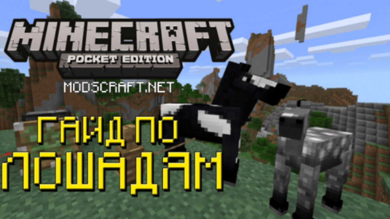 Minecraft PE: Полный гайд по лошадям