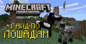 Minecraft PE: Полный гайд по лошадям