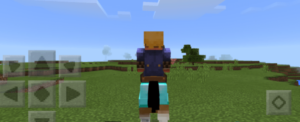 Minecraft PE: Полный гайд по лошадям