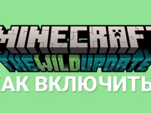 Как включить Дикое обновление в Minecraft PE: пошаговое руководство
