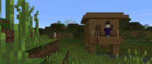 Сид для Minecraft PE: Хижина ведьмы на спауне [0.15/0.14]