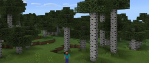 Сид для Minecraft PE: Редкий березовый лес [1.0/0.17.0]