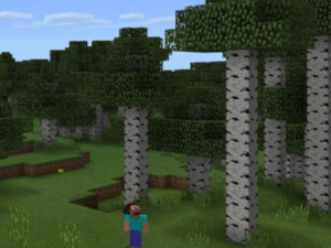 Сид для Minecraft PE: Редкий березовый лес [1.0/0.17.0]