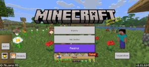 Скачать Minecraft PE 1.21.124