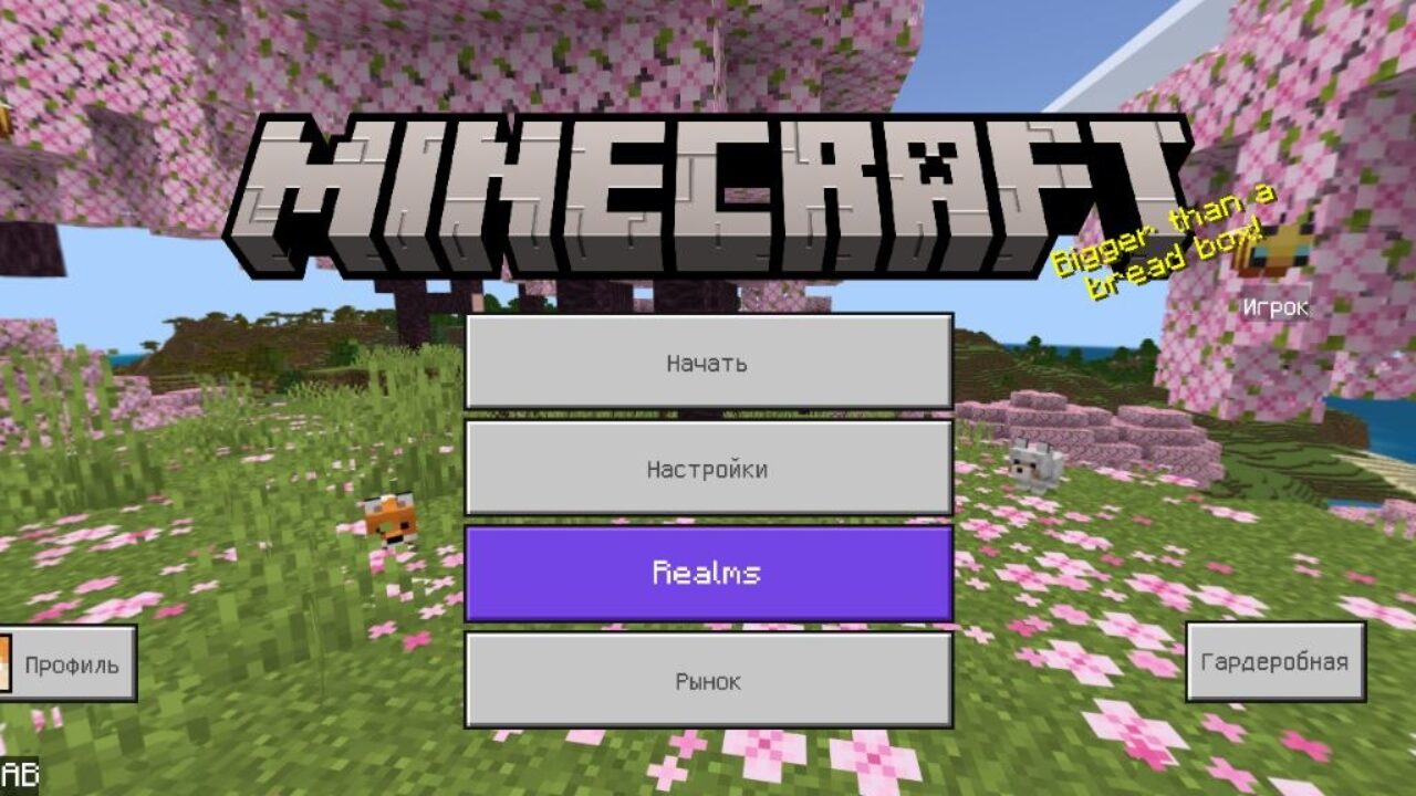 Скачать Minecraft PE 1.26.13