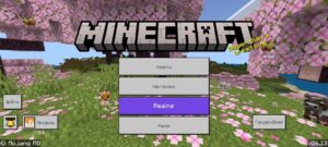 Скачать Minecraft PE 1.26.13