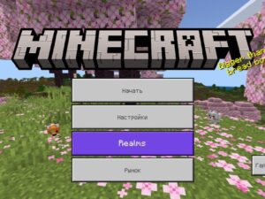 Скачать Minecraft PE 1.26.13