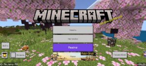 Скачать Minecraft PE 1.26.21.01