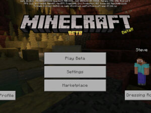Скачать Minecraft PE 1.26.30.31