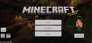 Скачать Minecraft PE 1.26.31